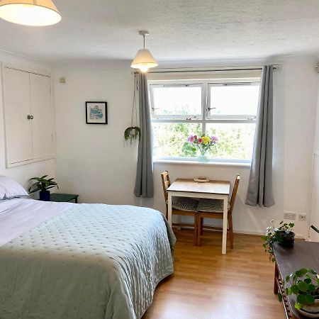 Bright And Comfortable Studio Apartment Londres Extérieur photo