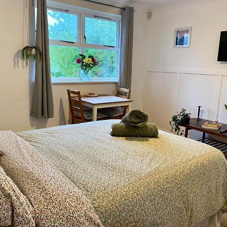 Bright And Comfortable Studio Apartment Londres Extérieur photo